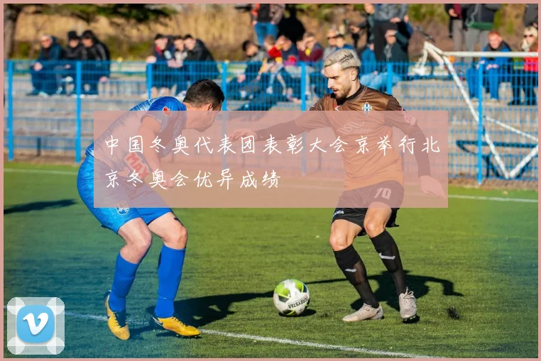 中国冬奥代表团表彰大会京举行北京冬奥会优异成绩