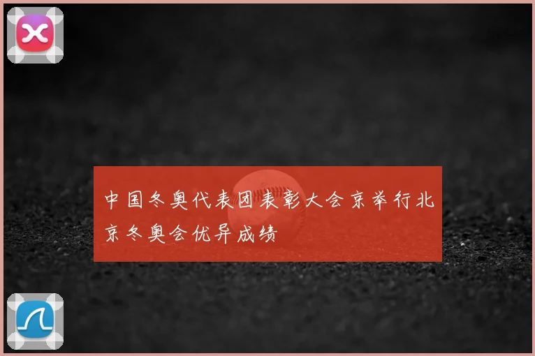 中国冬奥代表团表彰大会京举行北京冬奥会优异成绩