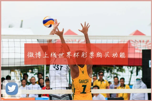 微博上线世界杯彩票购买功能